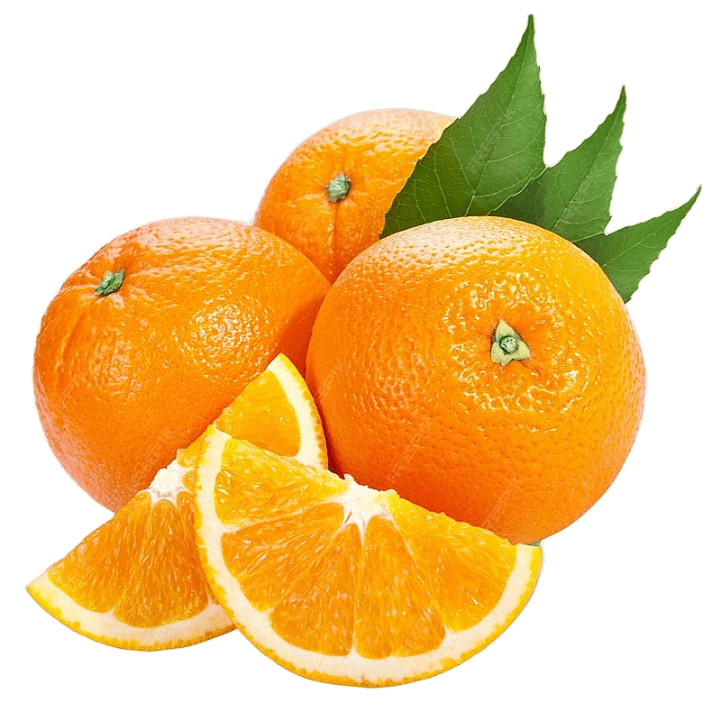 Сайт каталог